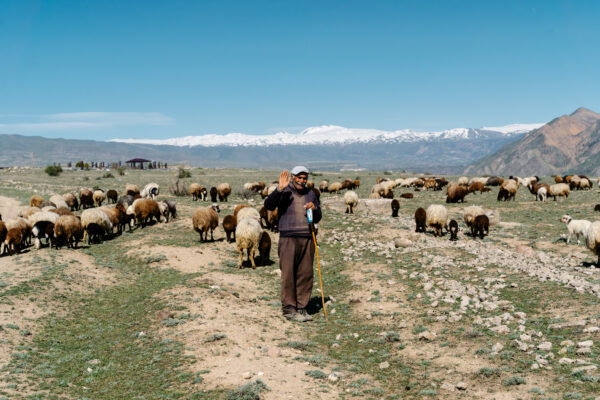 Shepherd in the Azat Valley in Armenia