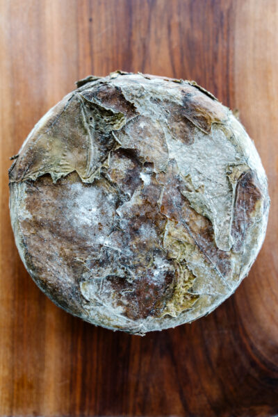 Cheese wrapped in vine leaves at “Mikayelyan Family Farm”, the first artisan cheese producer in Armenia